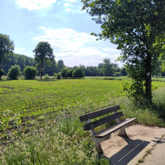 (vergroot foto)