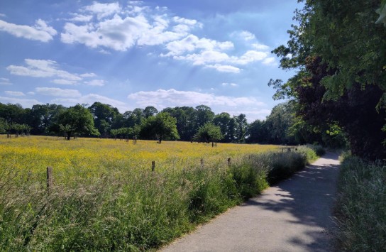 (vergroot foto)